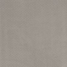 Anderson Tuftex Aperture French Grey 00500_ZZ391