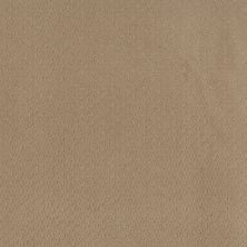 Anderson Tuftex Aperture Honey 00700_ZZ391