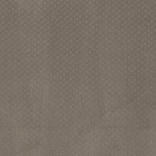 Anderson Tuftex Aperture Taupe 00701_ZZ391