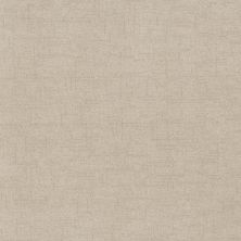 Anderson Tuftex Silhouette Parchment 00102_ZZ392