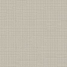 Anderson Tuftex Radiance Dove 00100_ZZ393