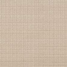 Anderson Tuftex Radiance Ecru 00103_ZZ393