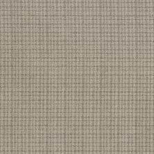 Anderson Tuftex Radiance Taupe Haze 00107_ZZ393