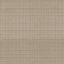Anderson Tuftex Radiance Soft Tan 00108_ZZ393