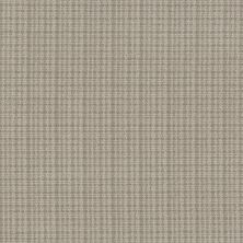 Anderson Tuftex Radiance Sagebrush 00300_ZZ393