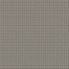Anderson Tuftex Radiance Graphite 00500_ZZ393