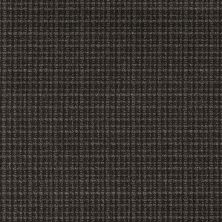 Anderson Tuftex Radiance Ebony 00502_ZZ393