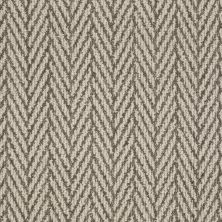 Anderson Tuftex ONLY NATURAL Windsor Gray 00758_Z6877