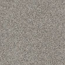 Anderson Tuftex Oliver’S Twist Wirework 00522_ZZ015