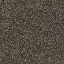 Anderson Tuftex Oliver’S Twist Grizzly 00726_ZZ015