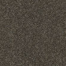 Anderson Tuftex Mollie’S Turn Grizzly 00726_ZZ016