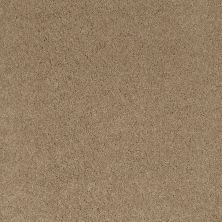 Shaw Floors Nfa/Apg Barracan I Llama 00701_NA001