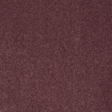 Shaw Floors Nfa/Apg Barracan I Andean Valley 00903_NA001