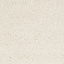 Shaw Floors Nfa/Apg Barracan Iv Icelandic