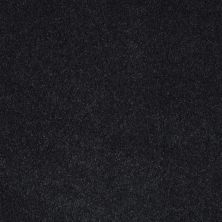 Shaw Floors Nfa/Apg Barracan Iv Bleu Du Maine 00403_NA004
