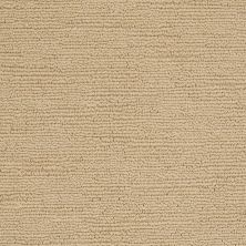 Shaw Floors Nfa/Apg Russell Camel 00201_NA015