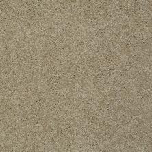 Shaw Floors Nfa/Apg Detailed Style II Clay Stone 00108_NA029