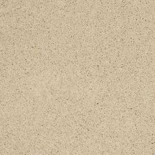 Shaw Floors Nfa/Apg Detailed Style III Parchment 00125_NA030