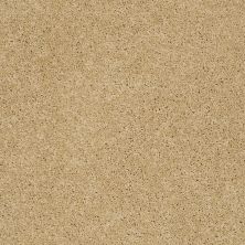 Shaw Floors Nfa/Apg Detailed Style III Solar 00221_NA030