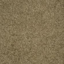 Shaw Floors Nfa/Apg Detailed Style III Summerhouse 00301_NA030