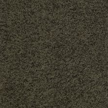Shaw Floors Nfa/Apg Detailed Style III Magic Emerald 00304_NA030