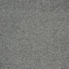 Shaw Floors Nfa/Apg Detailed Style III Blue Chateau 00400_NA030