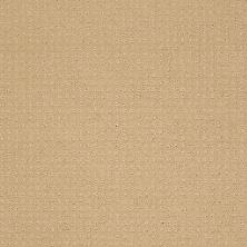 Shaw Floors Nfa/Apg Detailed Style Pattern Blonde Cashmere 00106_NA031