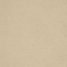 Shaw Floors Nfa/Apg Detailed Style Pattern Parchment 00125_NA031