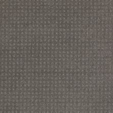 Shaw Floors Nfa/Apg Detailed Style Pattern Grey Flannel 00501_NA031