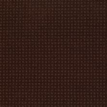Shaw Floors Nfa/Apg Detailed Style Pattern Apple Butter 00728_NA031