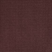 Shaw Floors Nfa/Apg Detailed Style Pattern Plum Delight 00902_NA031