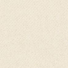 Shaw Floors Nfa/Apg Detailed Art Loop China Pearl