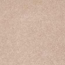 Shaw Floors Nfa/Apg Endura I 12' Stucco
