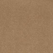 Shaw Floors Nfa/Apg Endura I 12' Cornfield