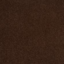 Shaw Floors Nfa/Apg Endura III 12' Coffee Bean
