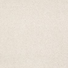 Shaw Floors Nfa/Apg Endura I 15' Mushroom