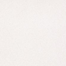 Shaw Floors Nfa/Apg Endura II 15' Sweet Cream