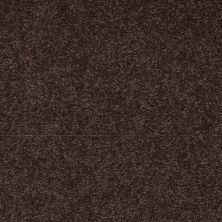 Shaw Floors Nfa/Apg Endura II 15' Tundra