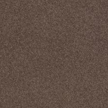 Shaw Floors Nfa/Apg Barracan Classic II Blush 00125_NA075