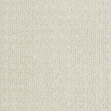 Shaw Floors Nfa/Apg Chic Classic Icelandic