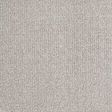 Shaw Floors Nfa/Apg Chic Classic Silver Lining