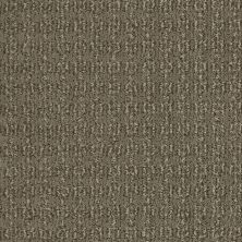 Shaw Floors Nfa/Apg Chic Classic Tibetan Plateau