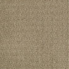 Shaw Floors Nfa/Apg Chic Classic Llama