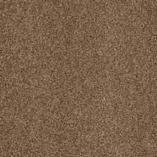 Shaw Floors Nfa/Apg Blended Trio Southern Andes 00202_NA133