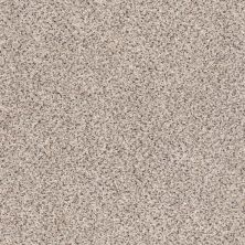 Shaw Floors Nfa/Apg Graceful Texture Accent Art District 00186_NA135