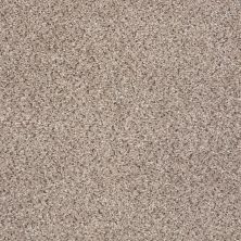 Shaw Floors Nfa/Apg Graceful Texture Accent Quartz 00580_NA135