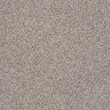Shaw Floors Nfa/Apg Graceful Texture Accent Midtown 00182_NA135