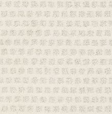 Shaw Floors Nfa/Apg Narrow Creek Snowfall