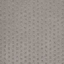 Shaw Floors Nfa/Apg Narrow Creek Arctic Frost