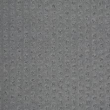 Shaw Floors Nfa/Apg Narrow Creek Wishaw